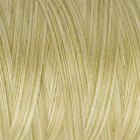 Madeira Polyneon 40 - Astro Multi Colours