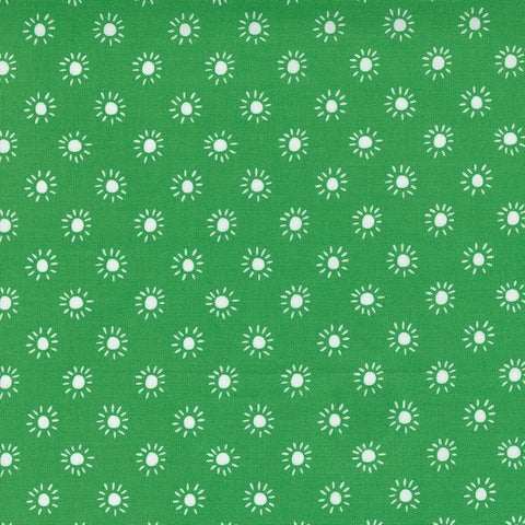 Jungle Paradise By Stacy Iest Hsu for Moda