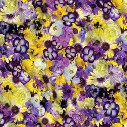 Hand Picked: First Light by Nicholas Lapp for Maywood Studio