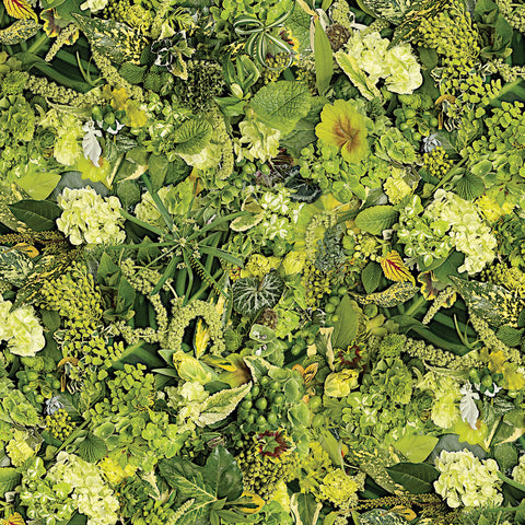 Hand Picked: First Light by Nicholas Lapp for Maywood Studio