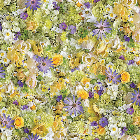 Hand Picked: First Light by Nicholas Lapp for Maywood Studio