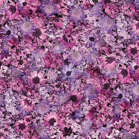 Hand Picked: First Light by Nicholas Lapp for Maywood Studio