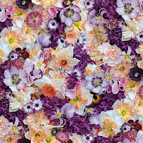 Hand Picked: First Light by Nicholas Lapp for Maywood Studio