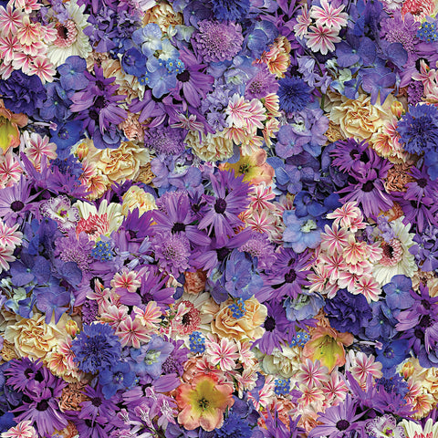 Hand Picked: First Light by Nicholas Lapp for Maywood Studio