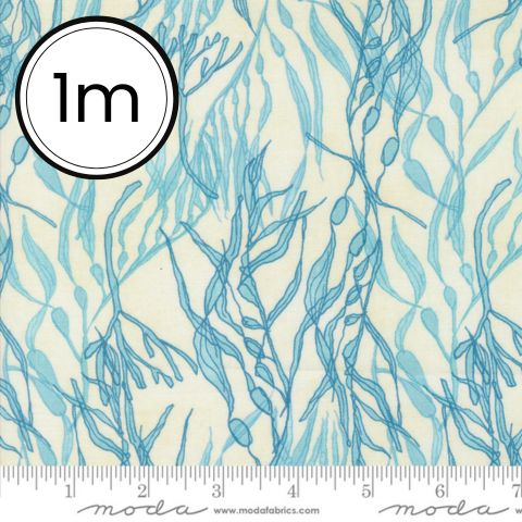 Serena Shores by Robin Pickens