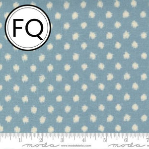 48076-16 Dottie KUMO FQ