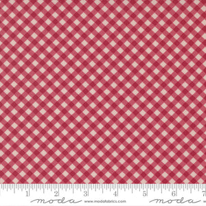 18754-17 Gingham - Rose