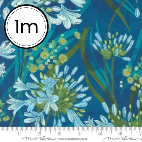 Serena Shores by Robin Pickens