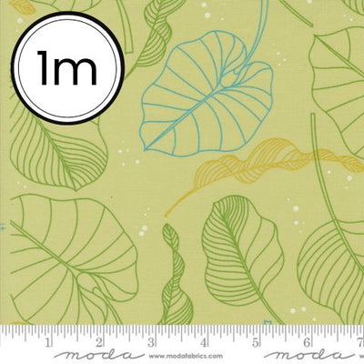 Olive You by Zen Chic