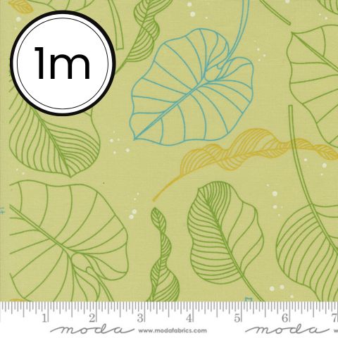 Olive You by Zen Chic
