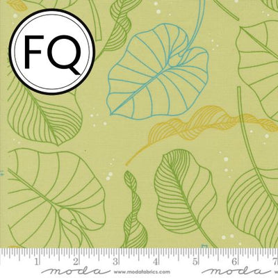 Olive You by Zen Chic