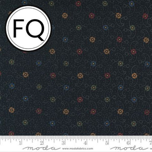 9674-18 Wind Swept - Midnight FQ