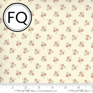 JdF 13897-18 Tulleries Pearl FQ