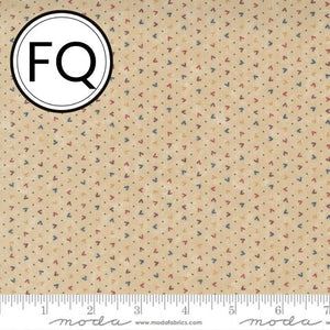 9678-11 Bird Tracks - Sand FQ