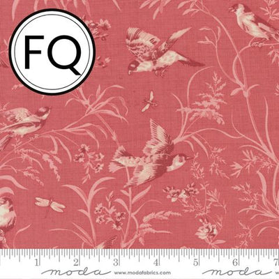 Antoinette by French General