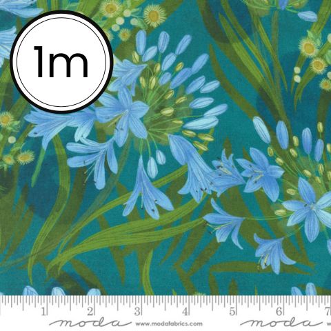 Serena Shores by Robin Pickens