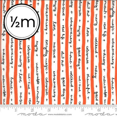 Zen Chic Past Collections
