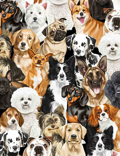 Cats & Dogs