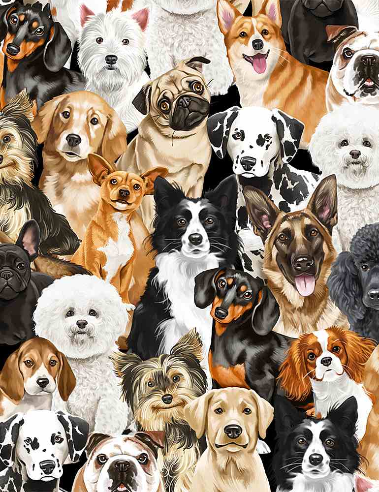 Cats & Dogs