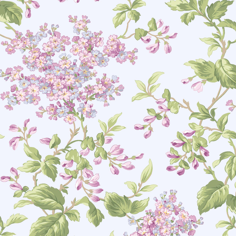 Sugar Lilac