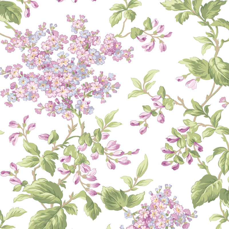 Sugar Lilac