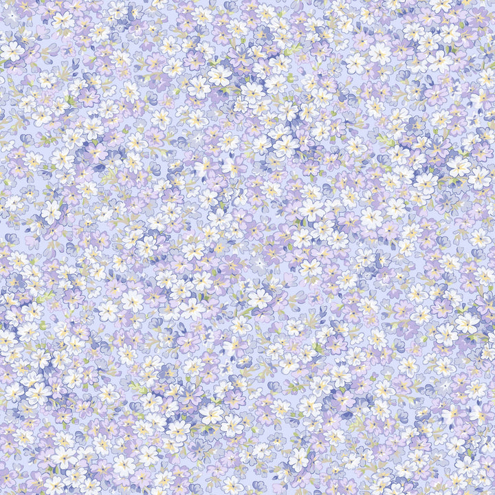 Sugar Lilac