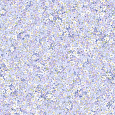 Sugar Lilac