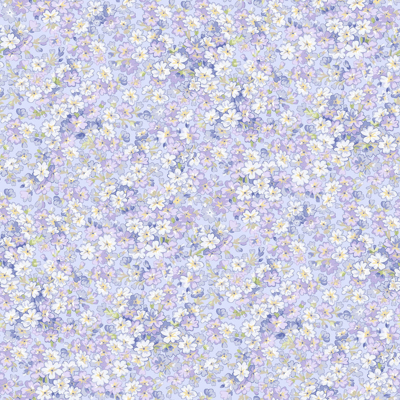 Sugar Lilac