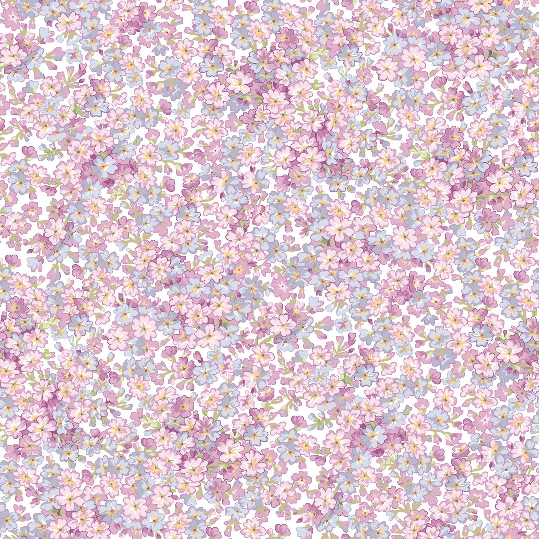 Sugar Lilac