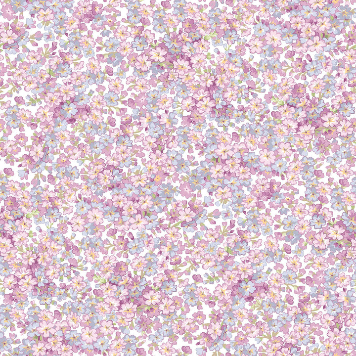 Sugar Lilac