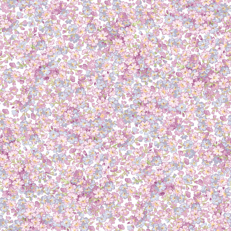 Sugar Lilac