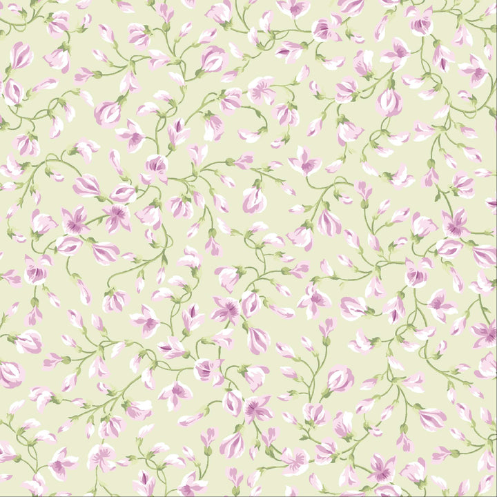 Sugar Lilac