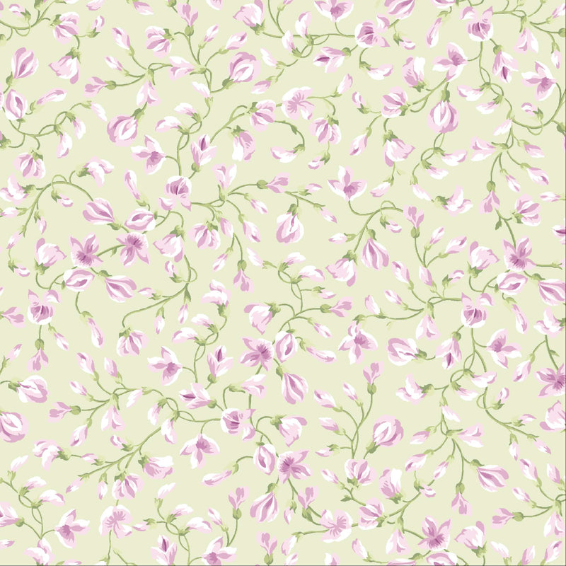 Sugar Lilac