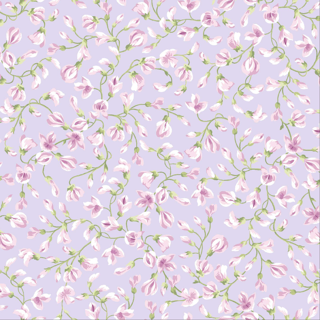 Sugar Lilac