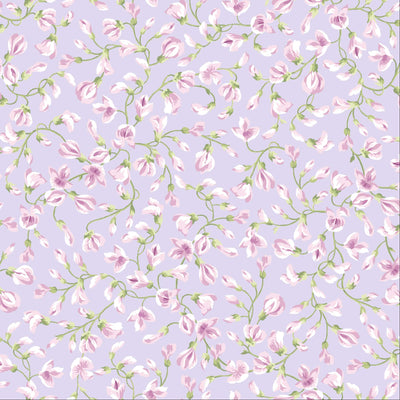 Sugar Lilac