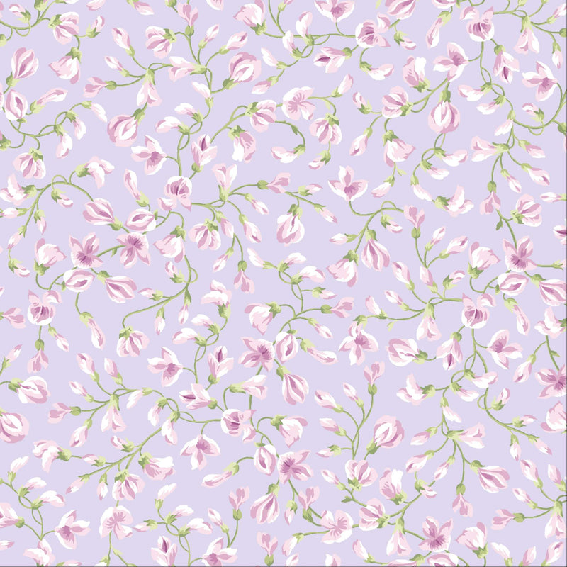 Sugar Lilac