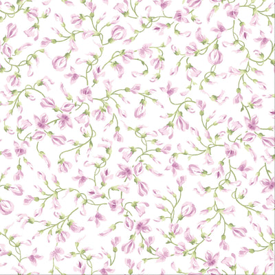 Sugar Lilac
