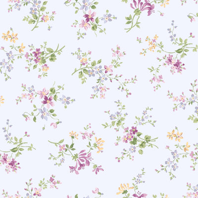 Sugar Lilac