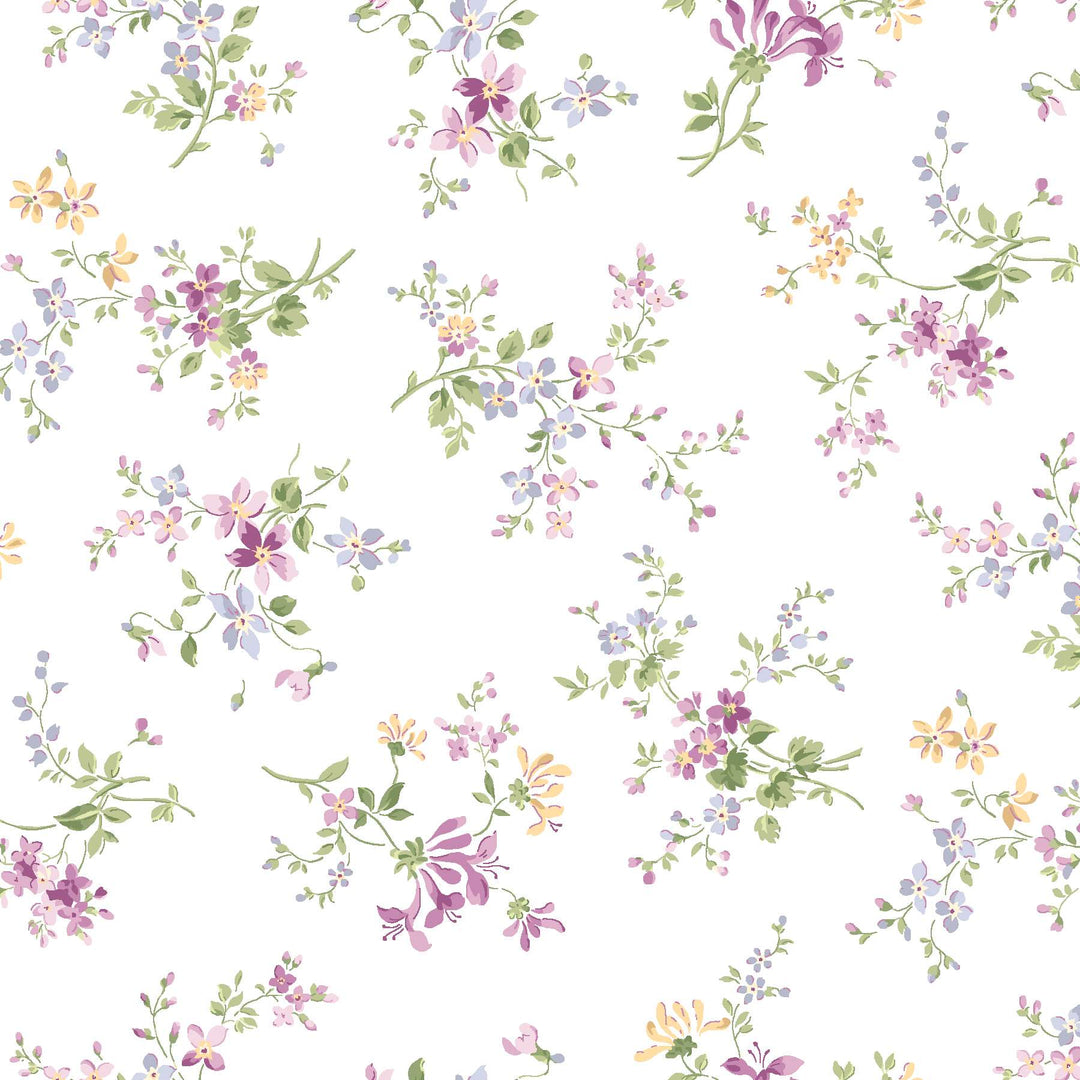 Sugar Lilac