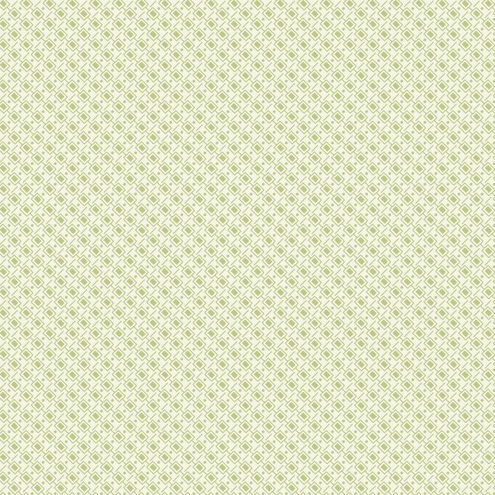 Sugar Lilac