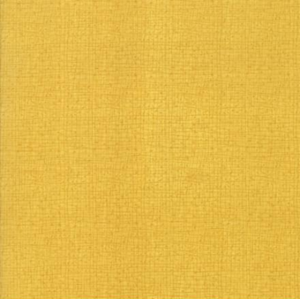 48626-28 Maize