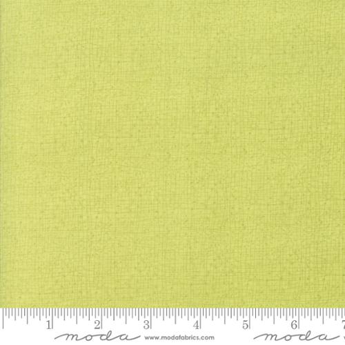 Green -  Solid and Semi-Solid Blenders