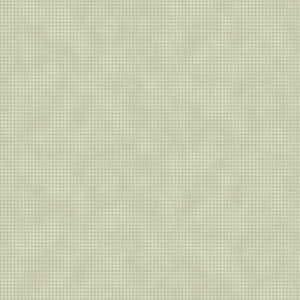 R540554-Sage