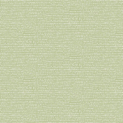 Basics by Dear Stella