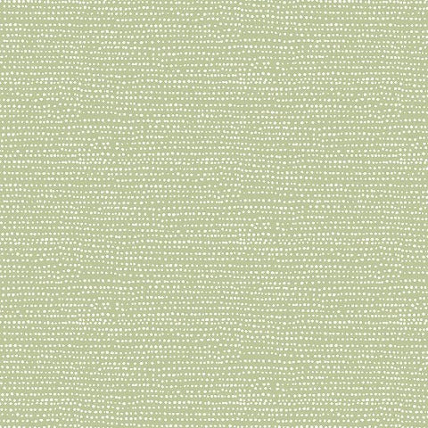 Basics by Dear Stella