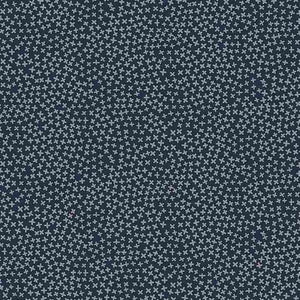 Stella 1560 Jax Graphite