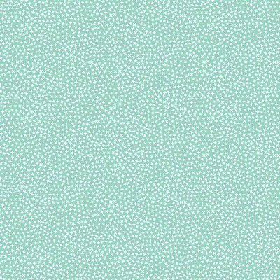 Basics by Dear Stella