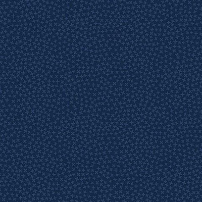 Basics by Dear Stella