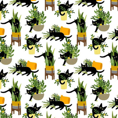 Cats & Dogs