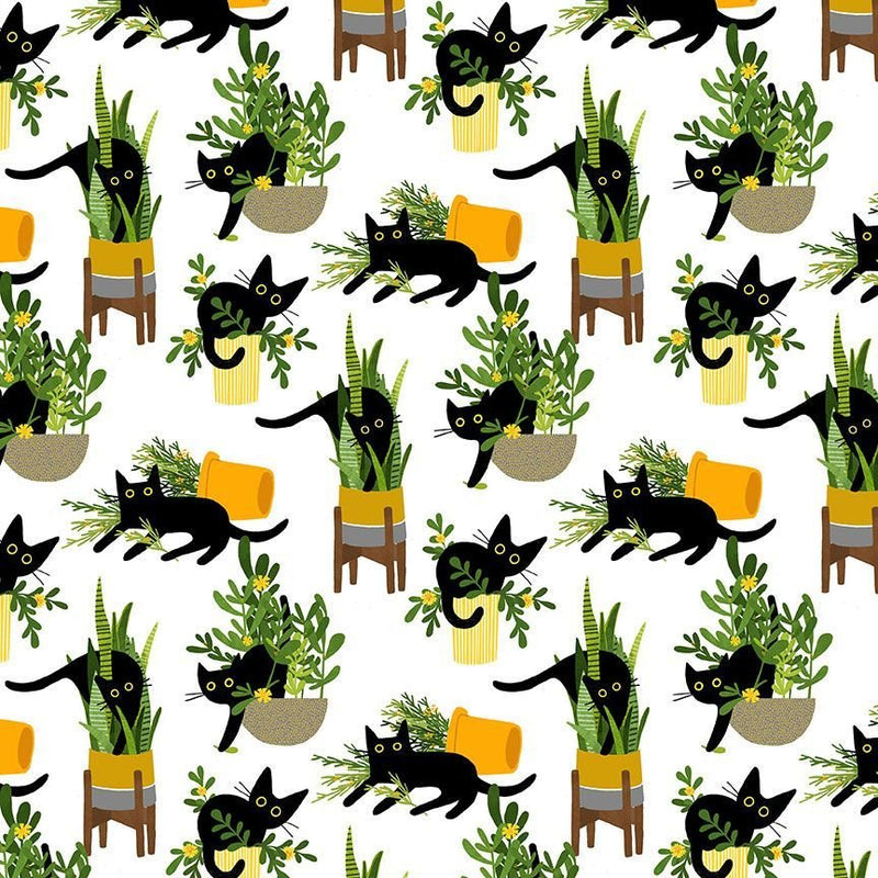 Cats & Dogs